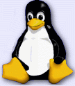 Linux Internacional