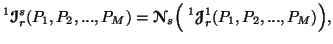 $ \displaystyle ^1{\ensuremath{\boldsymbol{\mathscr{I}}}}^s_r(P_1,P_2,...,P_M)={......}}_s\Big(\ ^1{\ensuremath{\boldsymbol{\mathscr{J}}}}^1_r(P_1,P_2,...,P_M)\Big),$