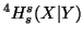 $ ^4H_s^s(X\vert Y)$