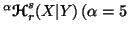 $ ^\alpha{\ensuremath{\boldsymbol{\mathscr{H}}}}_r^s(X\vert Y)\,(\alpha=5$