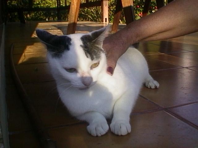 In Memoriam