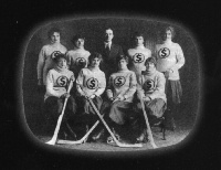 (We're Behaving Like) Insects